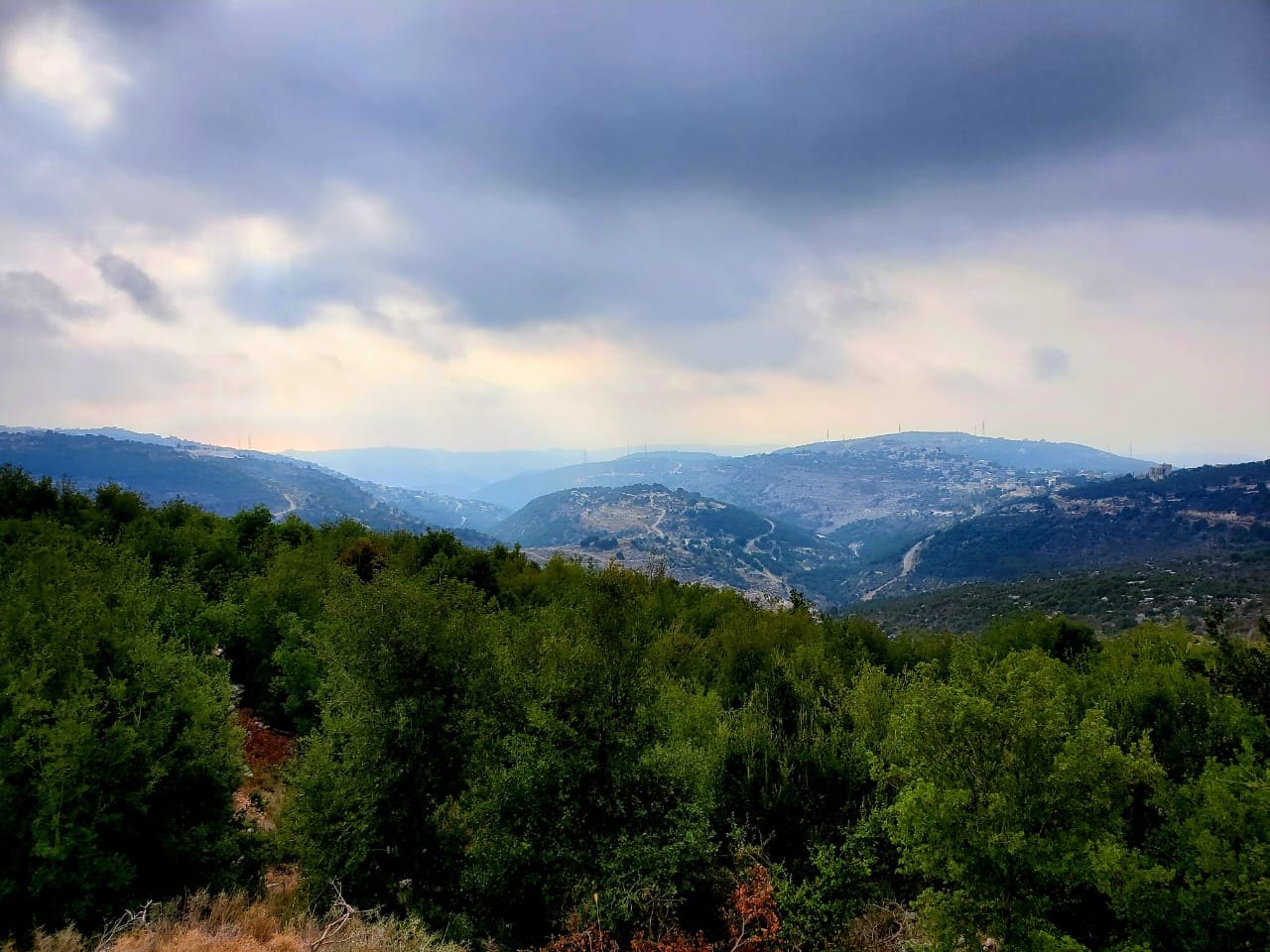 assia views